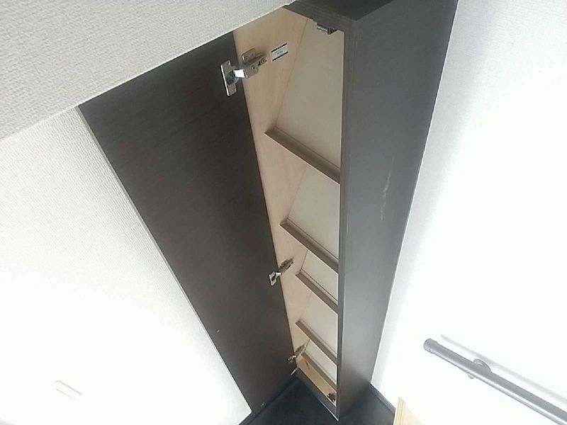 レオネクストオレガノ その他