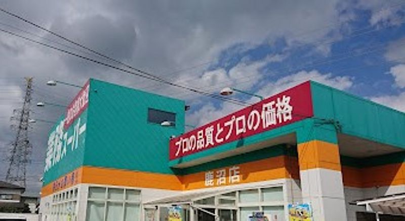 レオパレスさくら 周辺環境