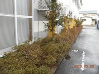 レオパレスセレッソ 庭