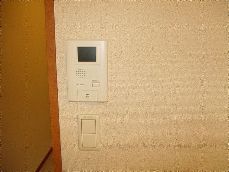 レオパレスリュウカ その他