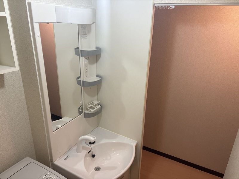 レオネクストＮＩＷＡＳＥ 洗面台