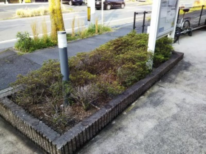 レオパレスディマンシュ その他