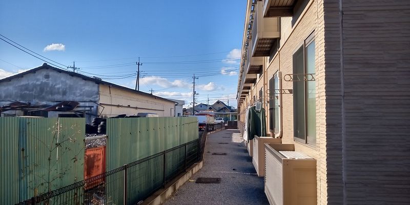 レオネクストｍａｎａ その他
