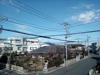 レオネクストエスポワール 眺望