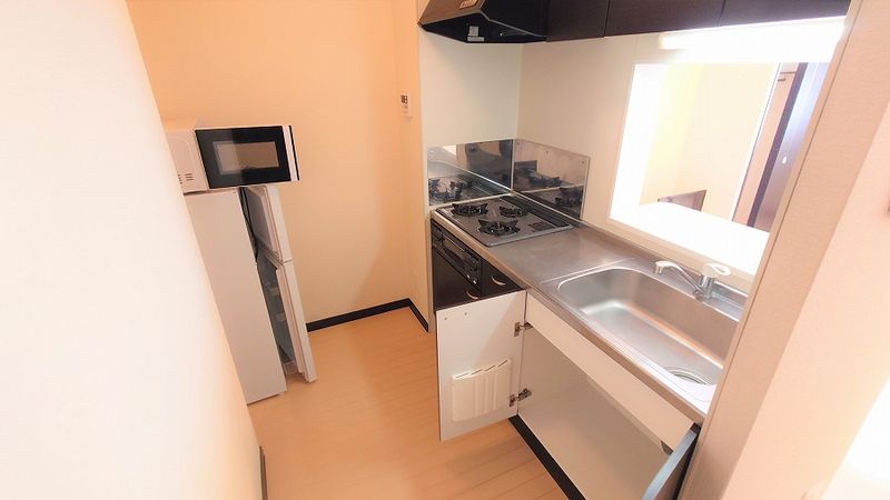 LEONEXT Plaisir Sedo II 주방