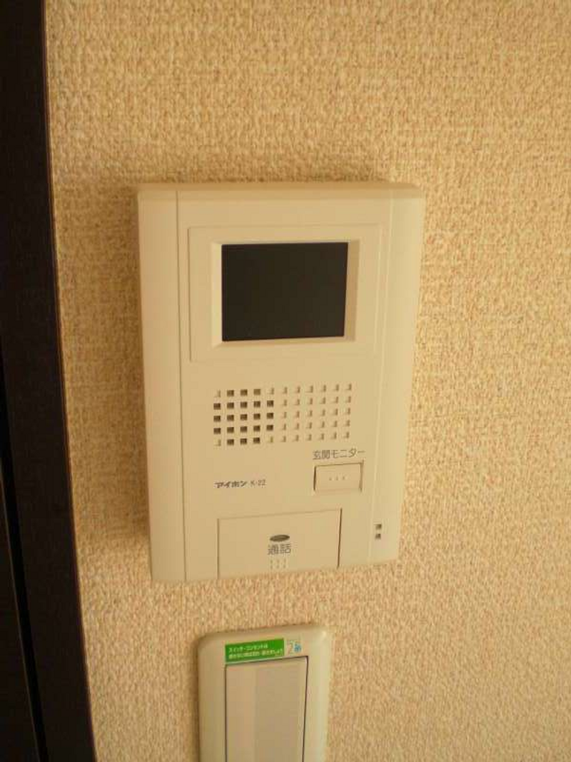 レオネクストべにばな その他