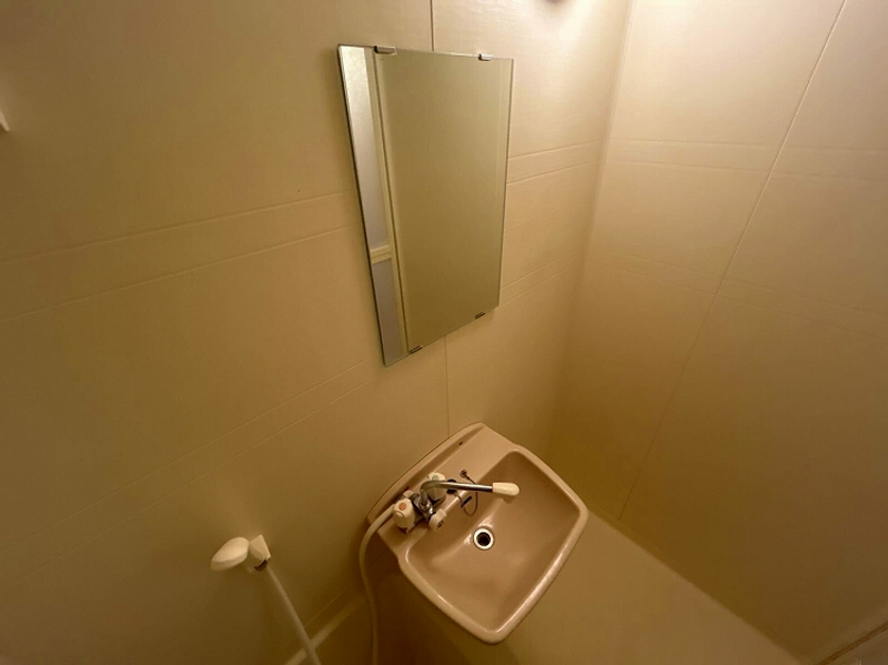 leopalace Roka Kouen I 洗手台