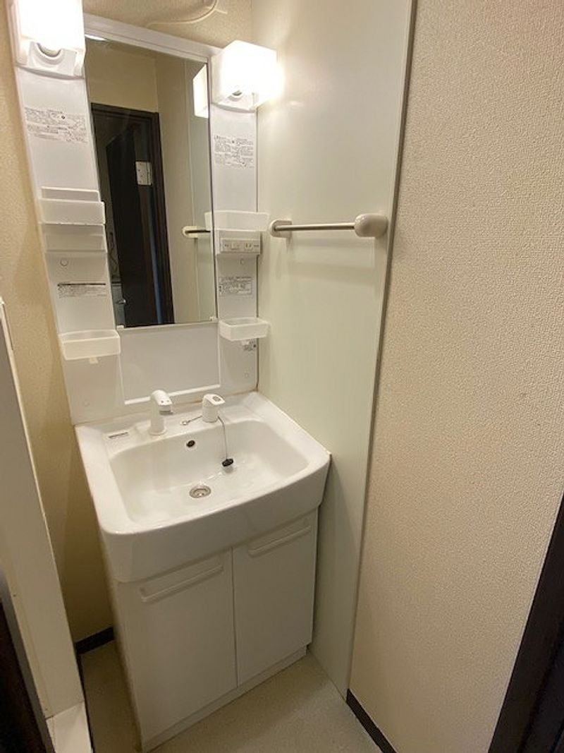 レオネクストルーチェ 洗面所