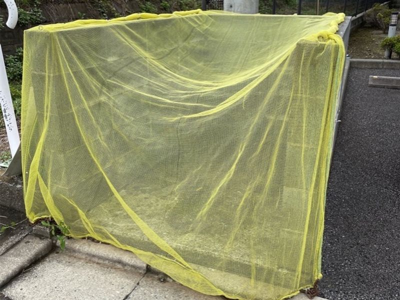 レオパレスシャインコート 共用部分
