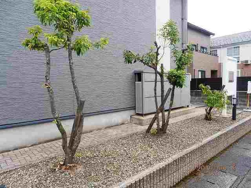 レオパレス睡蓮 その他