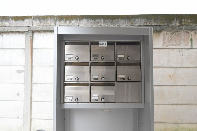 LEONEXT Fortuna 기타