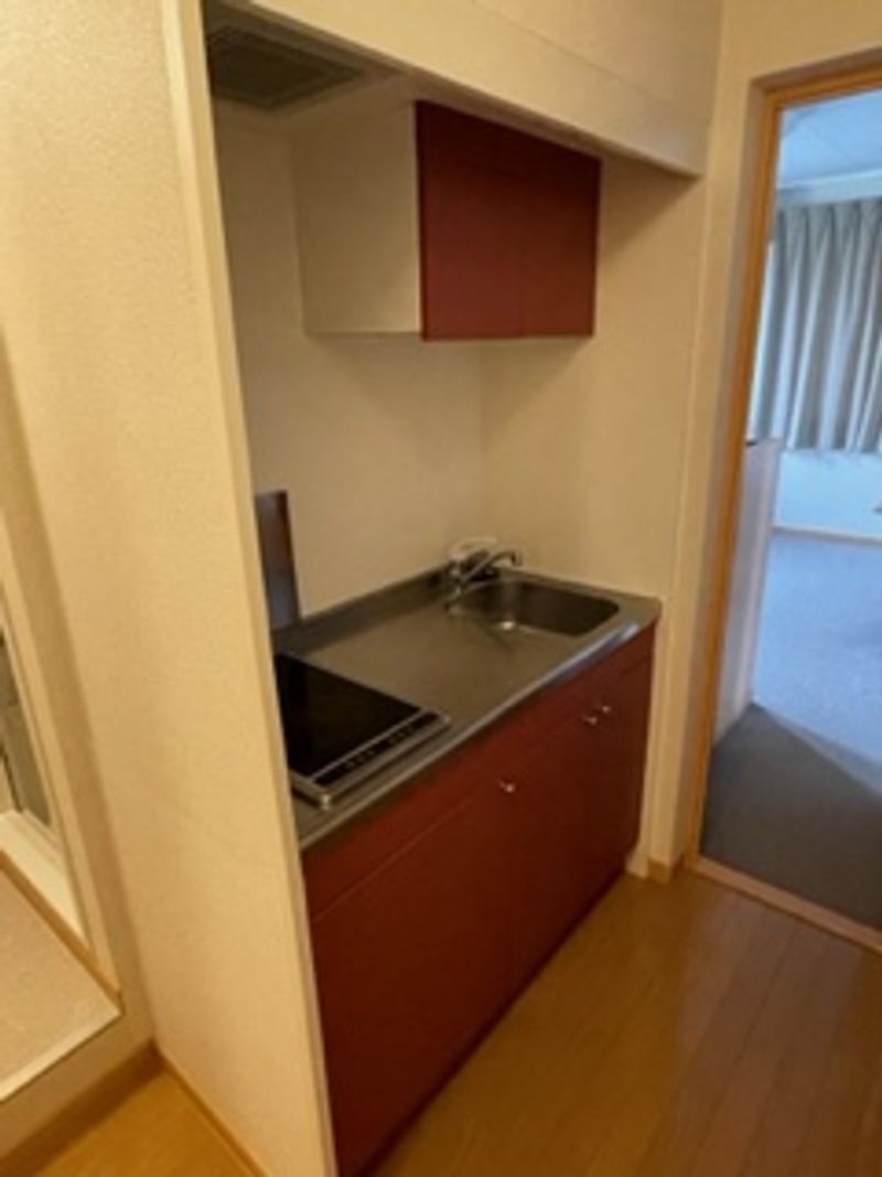 レオネクストイーストリバー キッチン