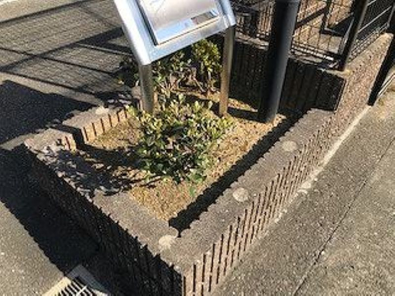 レオパレス秋桜 その他