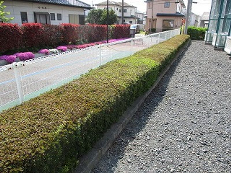 レオパレスＤＥ・ｍｕｓｃｈｅｌ その他
