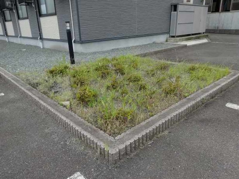 レオパレスまつかぜ 庭