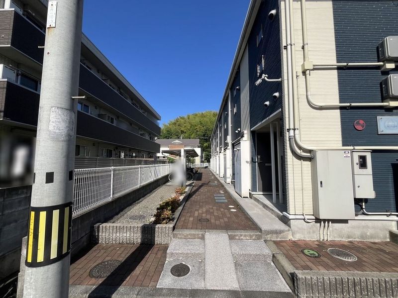 レオネクストさくらんぼ その他