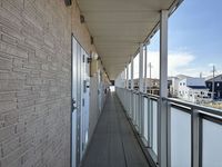 LEONEXT Morning Glory Other