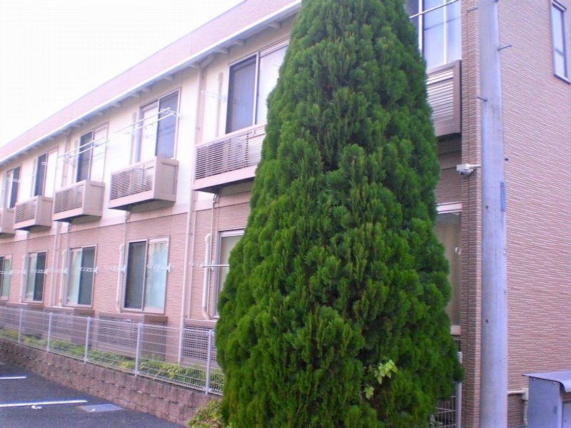 LEONEXT Pure Light Exterior