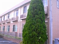 LEONEXT Pure Light 외관