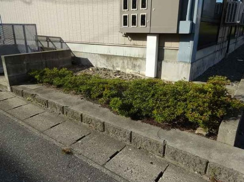 レオパレスバロン 庭
