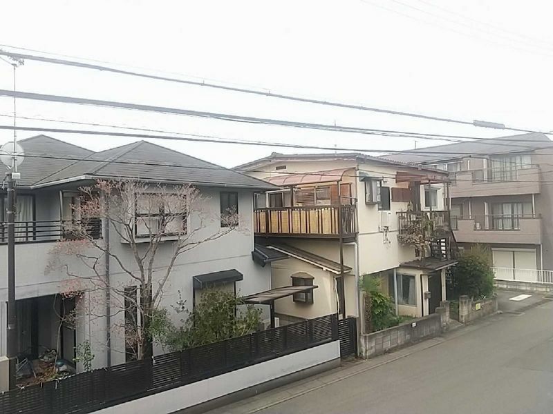 LEONEXT Cibelle View