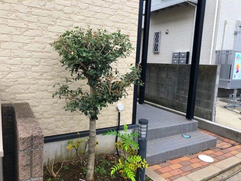 レオパレスオズメゾン 共用部分