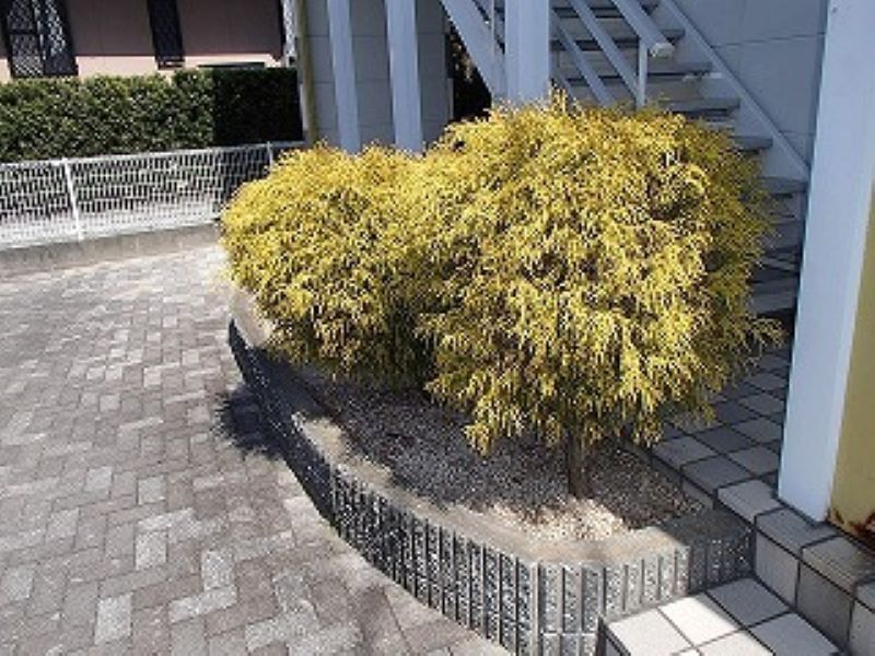 レオパレス刈原 その他