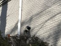 leopalace Hanegi Khu vực chung