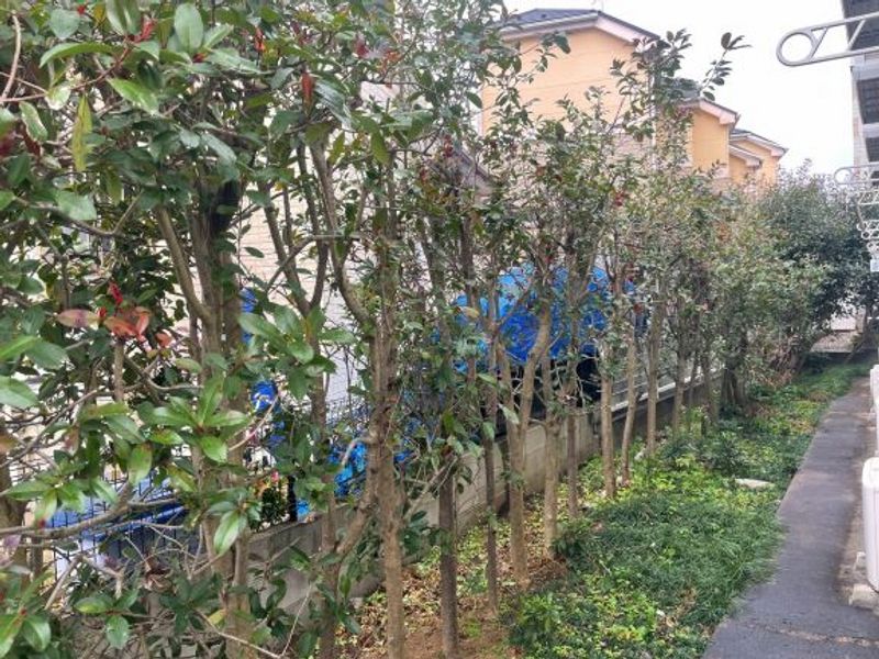 レオパレスフラワーアイランド 眺望