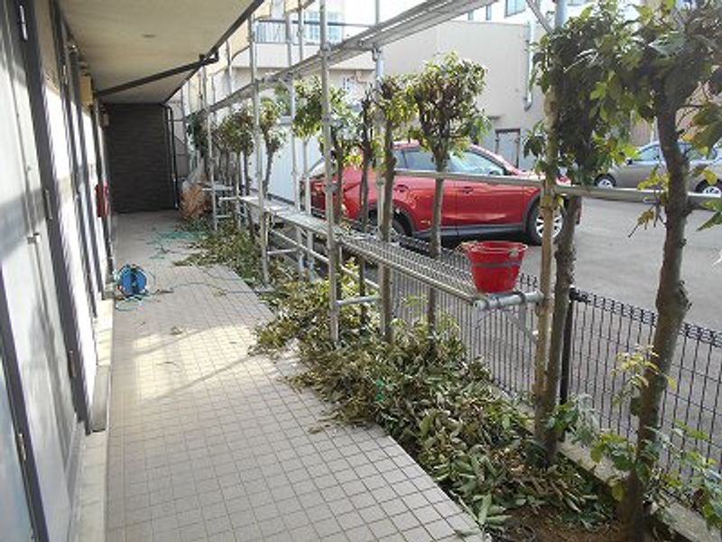 レオパレス文京 共用部分