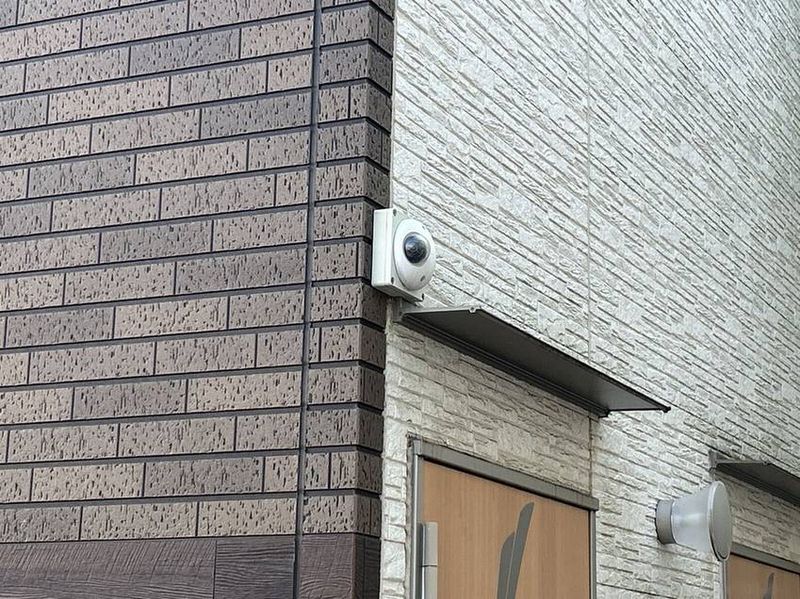 CLEINO Sinfonia Khu vực chung