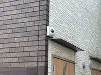 CLEINO Sinfonia Khu vực chung