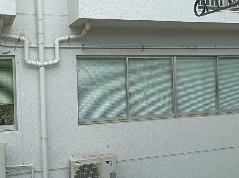 leopalace Casa Napoli View