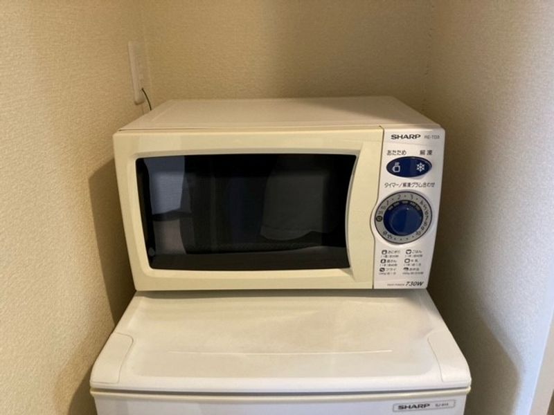 レオネクスト洗心 その他設備