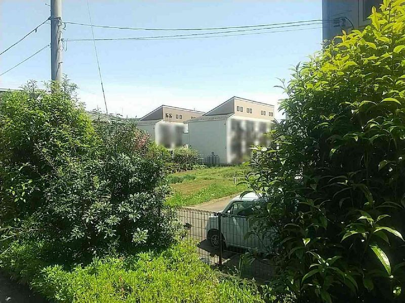 leopalace HSI RIVER II 视野