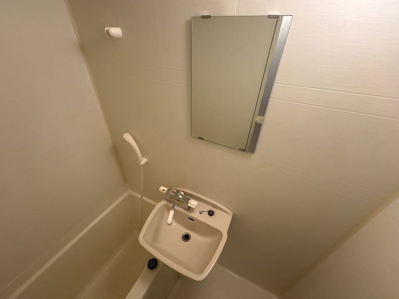 レオパレスムツミハイツ東大宮 洗面台