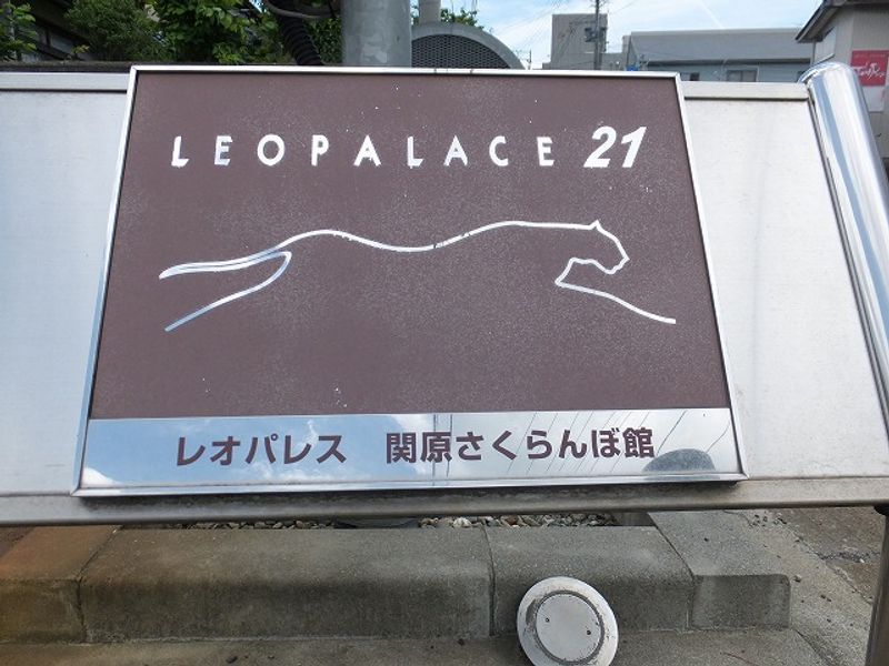 レオパレス関原さくらんぼ館 エントランス