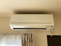レオネクストリュミエール その他