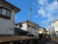 leopalace Elden Eye View
