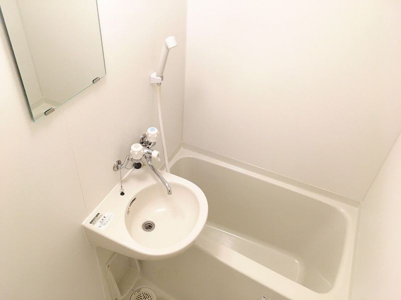 leopalace Tsubasa VI Washroom