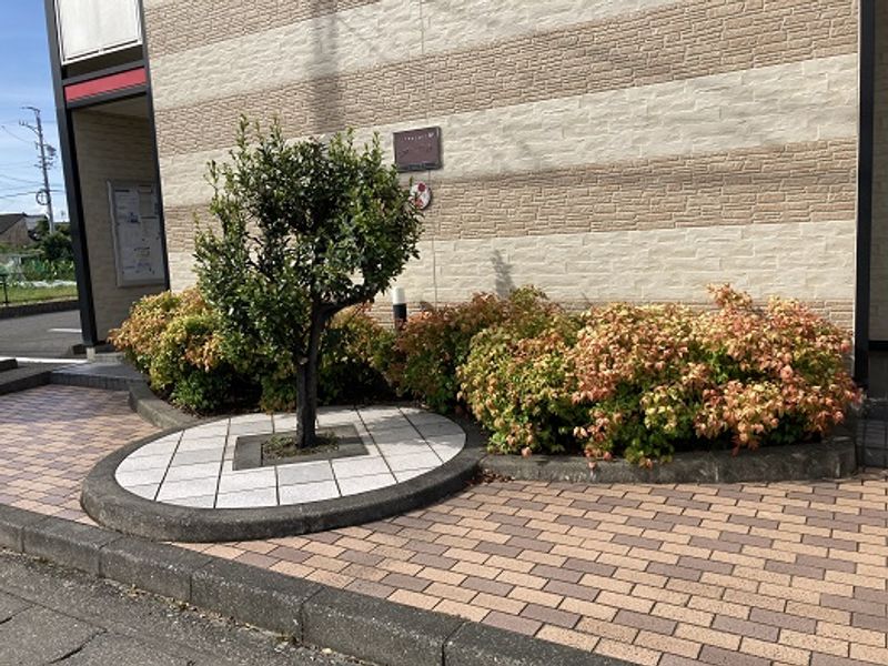 レオパレスフリージア エントランス