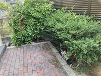 レオパレスＴｓｕｓｈｉｍａ 庭