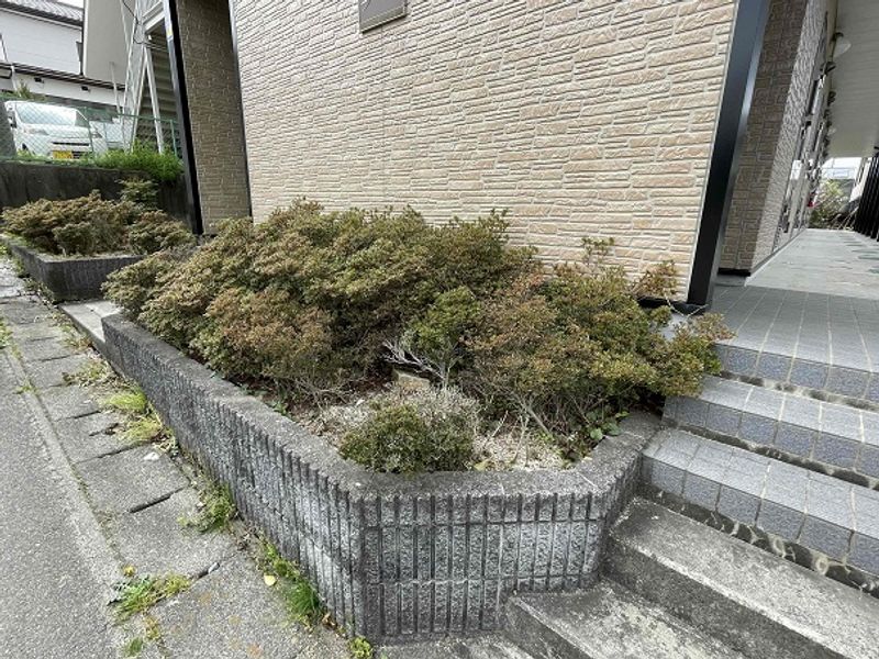 レオパレスアメニティ二本松 庭