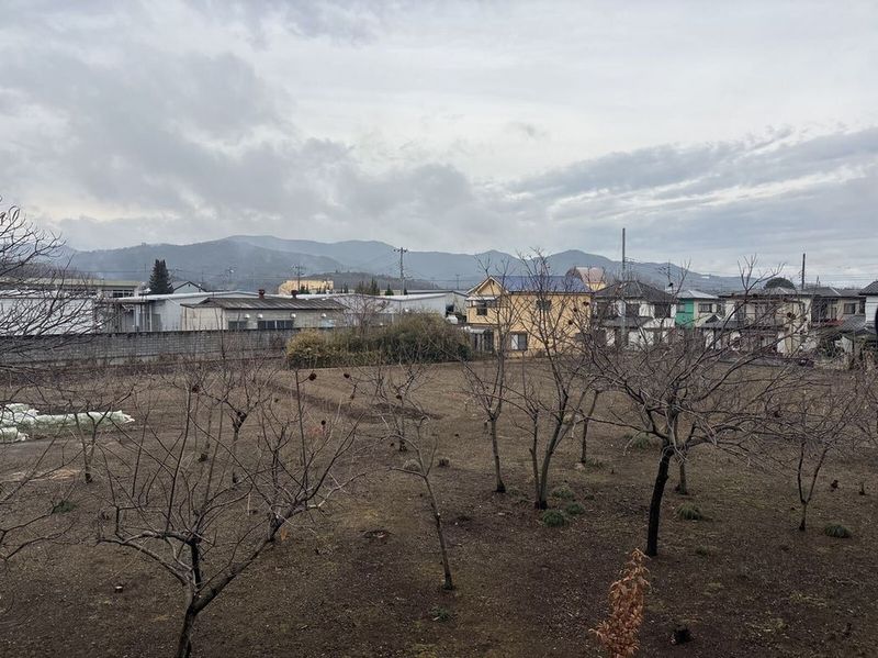 leopalace Yabusame Tầm nhìn