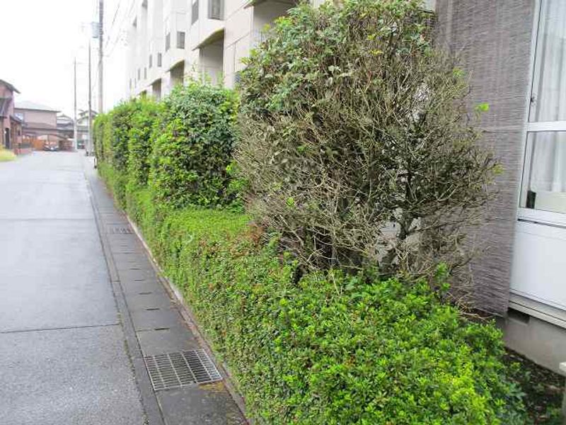 レオパレスＴＯＫＩＯ その他
