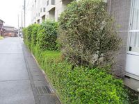 レオパレスＴＯＫＩＯ その他