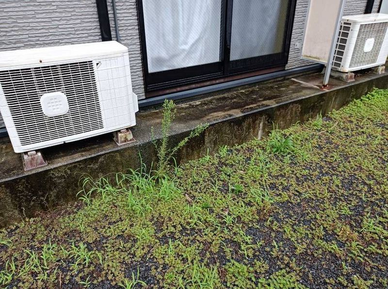 レオパレスチェリ バルコニー