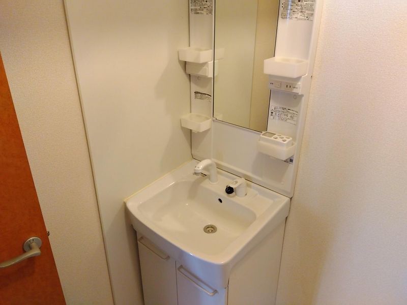 レオネクストエムズコートＣ 洗面所