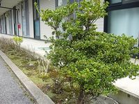 レオパレスグリュック バルコニー