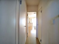 レオネクストベガ その他